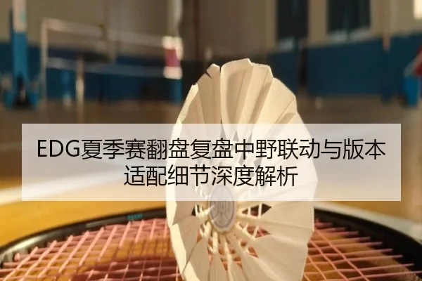 EDG夏季赛翻盘复盘中野联动与版本适配细节深度解析（ODSPORTS）