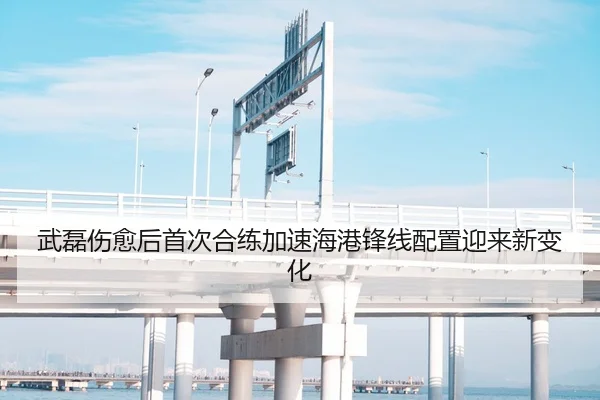 武磊伤愈后首次合练加速海港锋线配置迎来新变化（ODSPORTS）